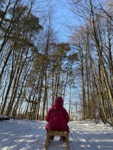 Kind auf Schlitten im Wald