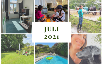 Monatsrückblick Juli 2021: Zimmerendspurt, Travemünde und ein Hundeurlaub