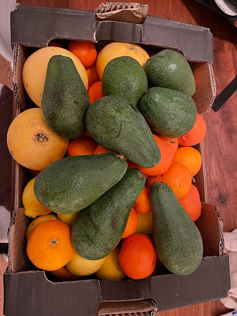 Avocados, Orangen, Mandarinen