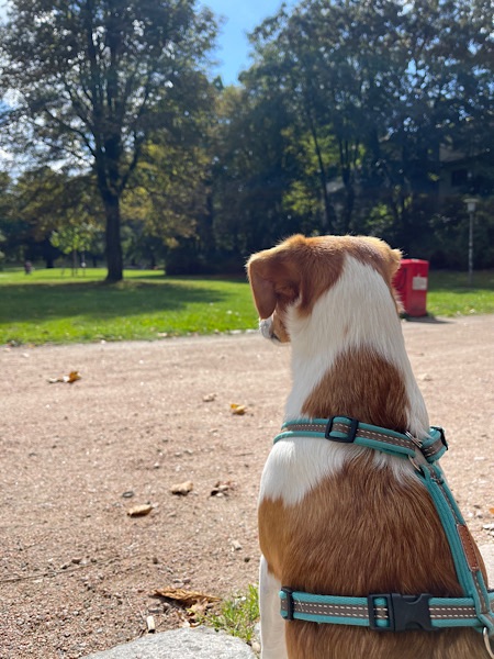 Lotte im Park