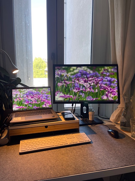 Homeoffice mit Blick nach draußen und mit zwei Bildschirmen, Tastatur, Maus.