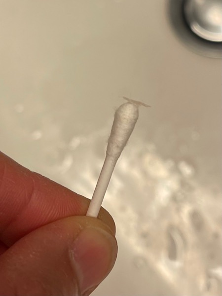 Madenwurm auf Wattestäbchen