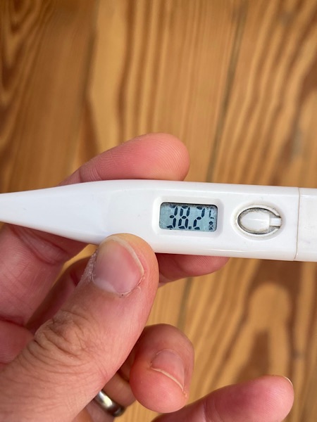 Digitales Fieberthermometer zeigt 38,2 an