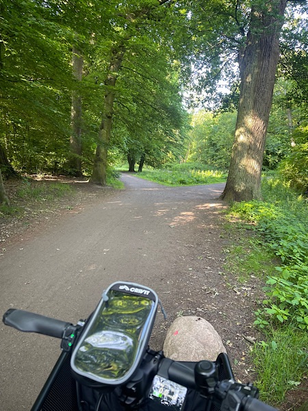 Blick in den Park vom Fahrrad aus