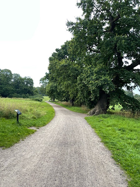 Weg im Jenischpark