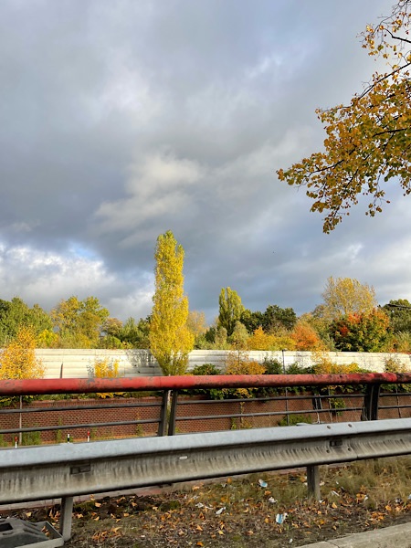 Herbstlich gefärbte Bäume vor Wolkenhimmel