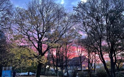 12 von 12: Mein 12. November 2025