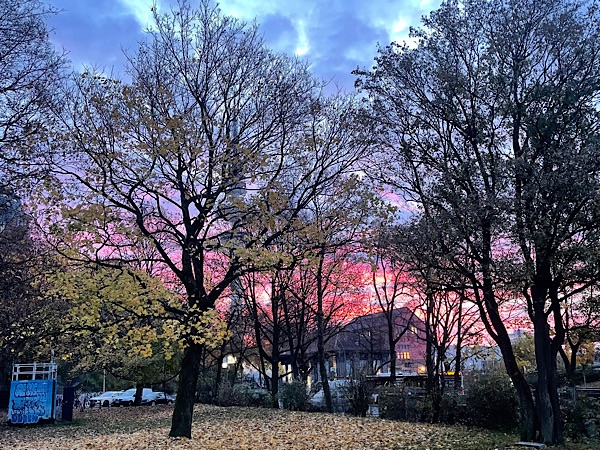 Herbstliche Laubbäume im Vordergrund, im Hintergrund Sonnenaufgang und ein von den Bäumen verstecktes großes Haus.