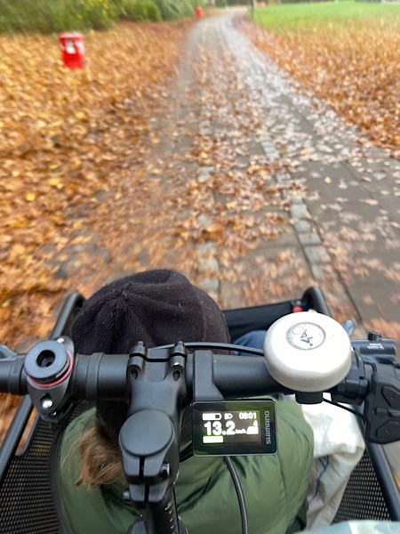 Fahrersicht vom Lastenrad. Fahrt durch Laub im Park. Vorne drin: Kind mit grüner Jacke und schwarzer Mütze