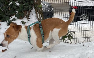 12 von 12: Mein 12. Januar 2026